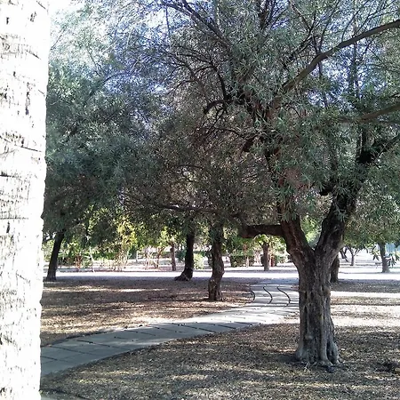 Buhaira Apartment