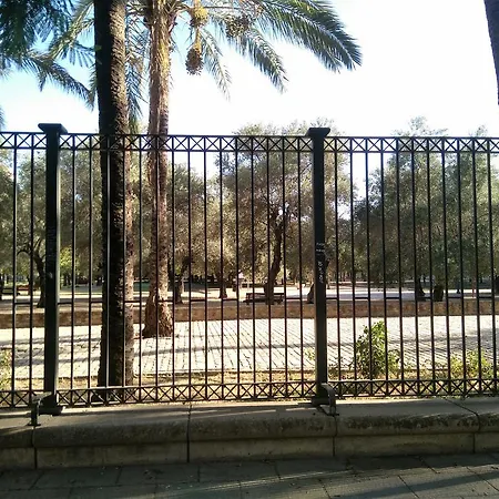 Buhaira Apartment *