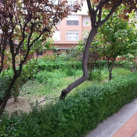 Apartment Buhaira