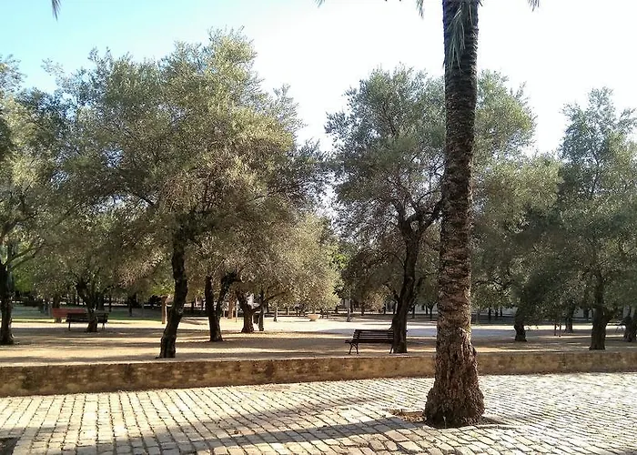 Buhaira
